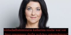 wirtschaftsministerin katherina reiche war vor ihrer ernennung chefin welches unternehmens?